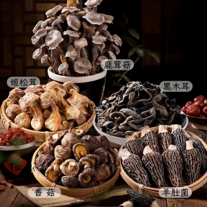 干菌山珍系列